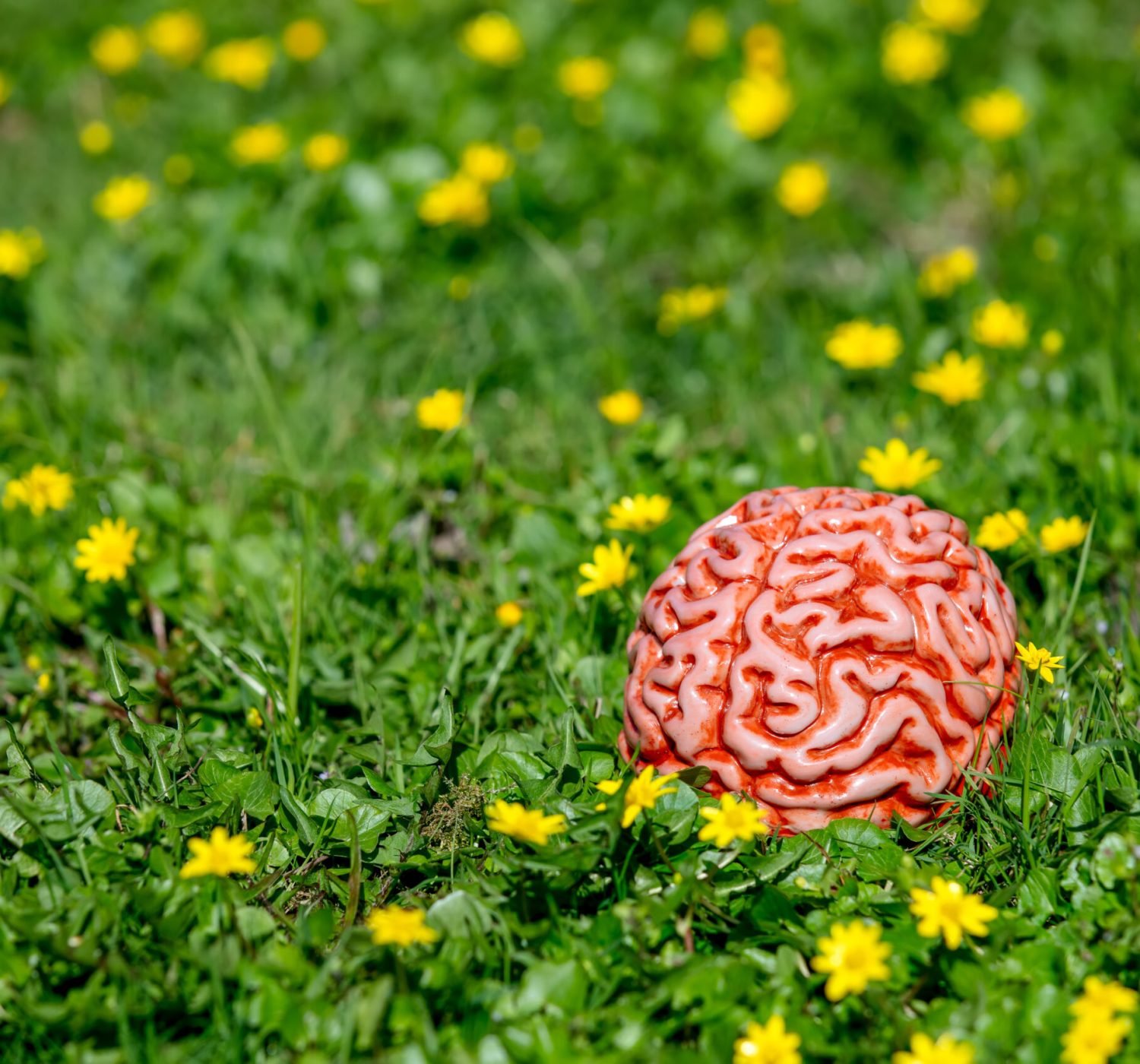 Human brain on a green meadow with yellow flowers. Concept of psychological therapy